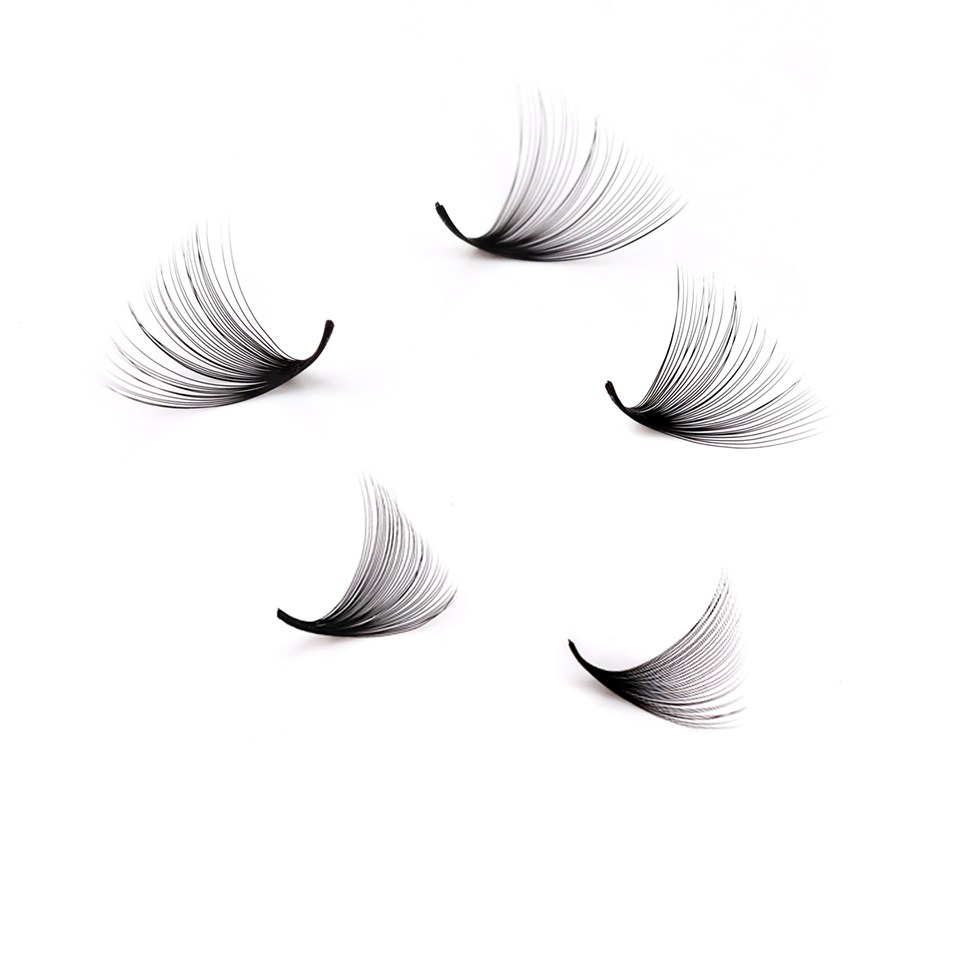 Lashprofessor XL Tray 3D 4D 5D - Eyelash Extension Mega Volume incelemesi ve fiyatı